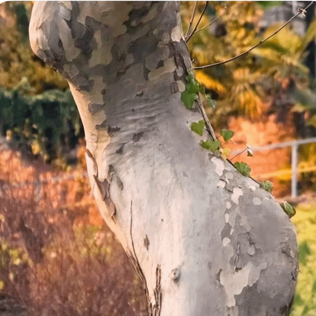 Featured on Make it sexy Mix playlist