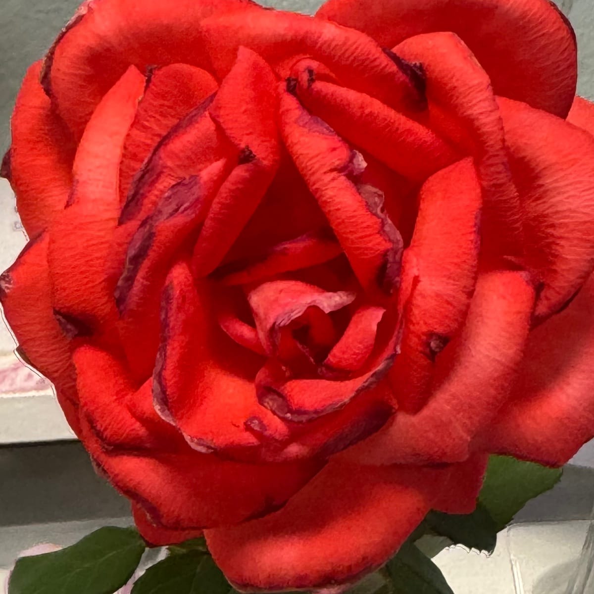 Featured on R&B Instrumental Mix playlist